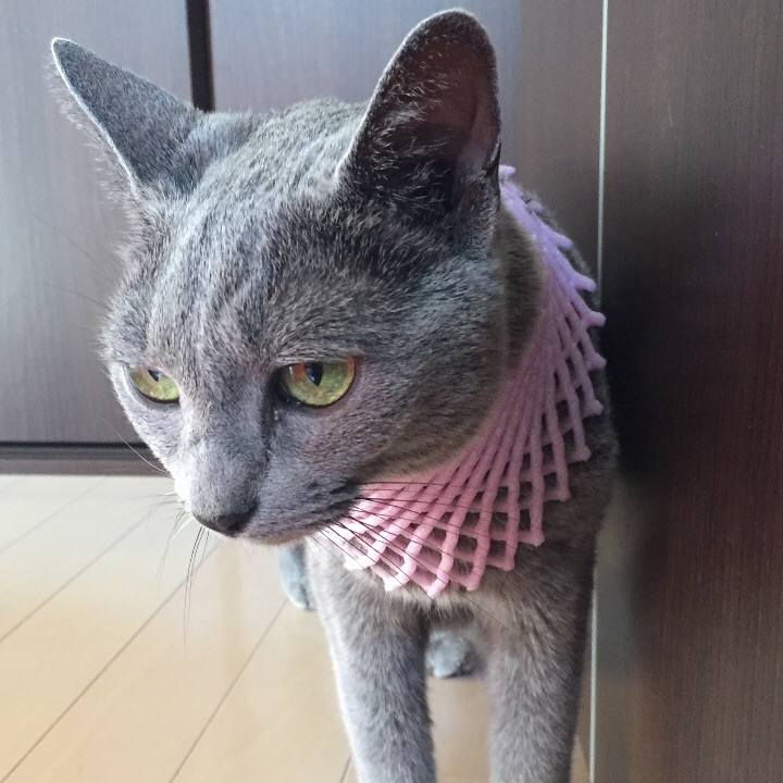 1dbe4115 de93 43bd b248 3b76c2d750e1 1534115328997