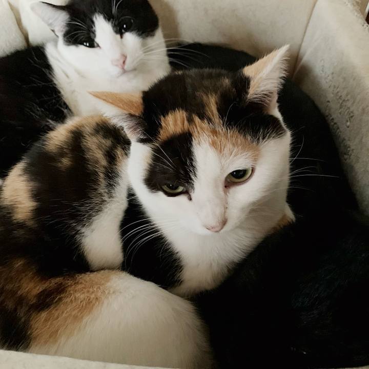 1dbe5413 ea36 471d 8ba9 a1cefc7ff592 1543543920260