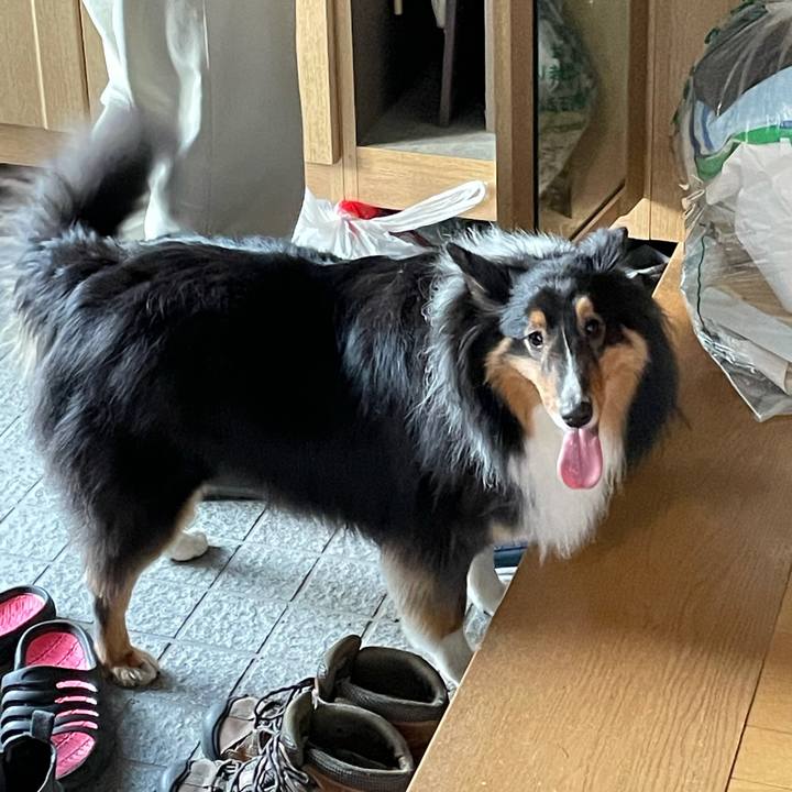 1dbe67e6 a0de 4b0d a1f5 20320d1dcf37 1615845529916