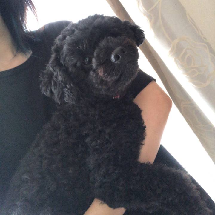 1dbe7ec0 8d2e 4aed 9ea6 b5c4b1cf147b 1562899465567