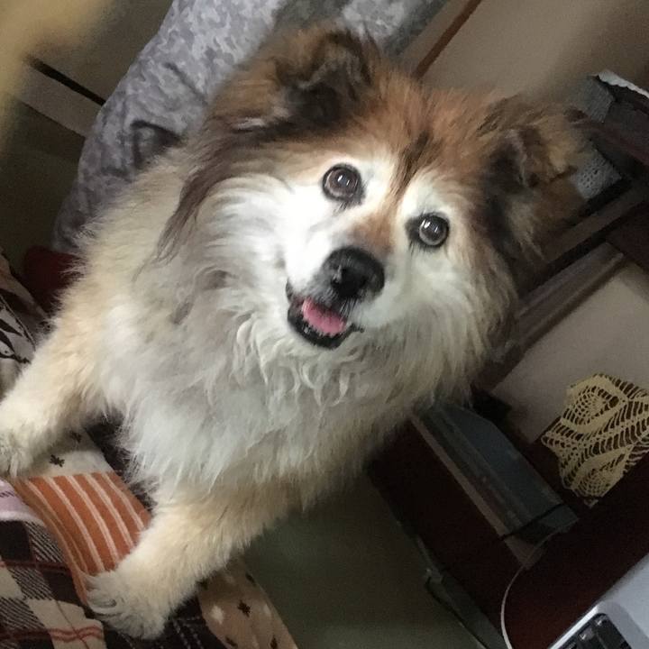 1dbeb386 743f 4bf5 b80f 357101b13de9 1591349807848