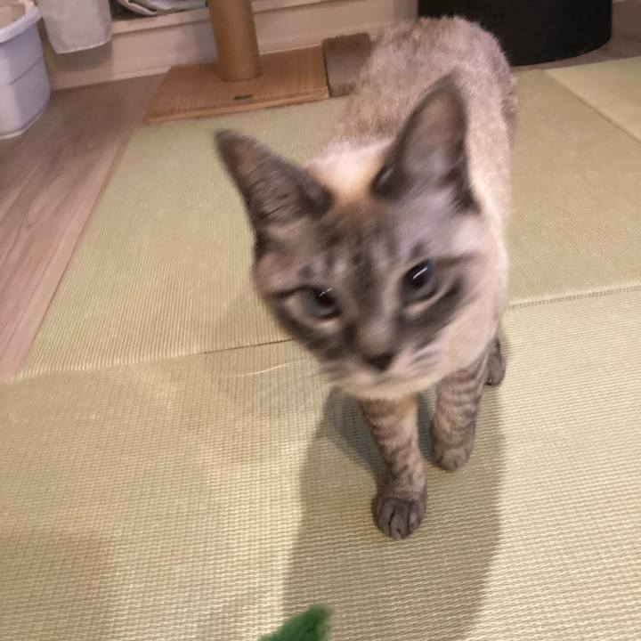 1dbedc3a 6815 4829 9fd7 455f7c5b0c34 1738151636769