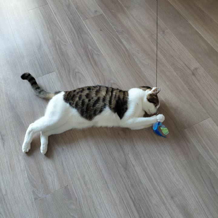 1dbedf7e fbd6 4906 a77f 5a50e90e9e32 1773445850624