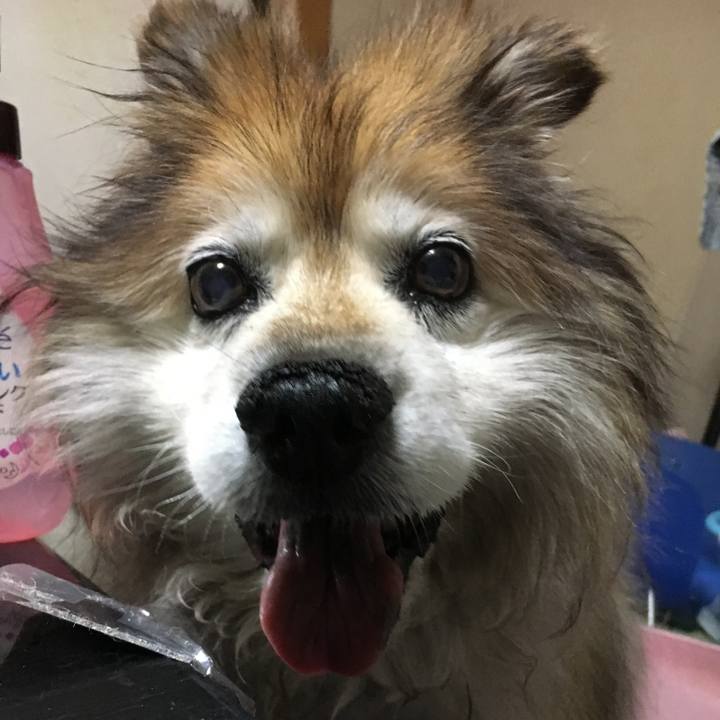 1dbf049b 7feb 4b16 a44c 0fbcbb426259 1580405519163