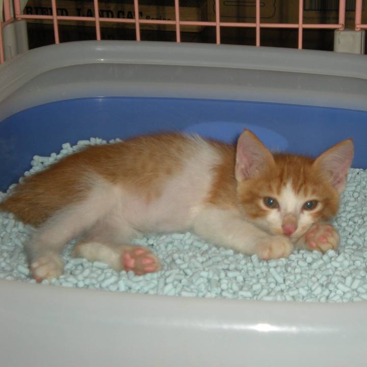 1dbf2ae3 6777 42b9 963c 2c21056ca529 1752014933869