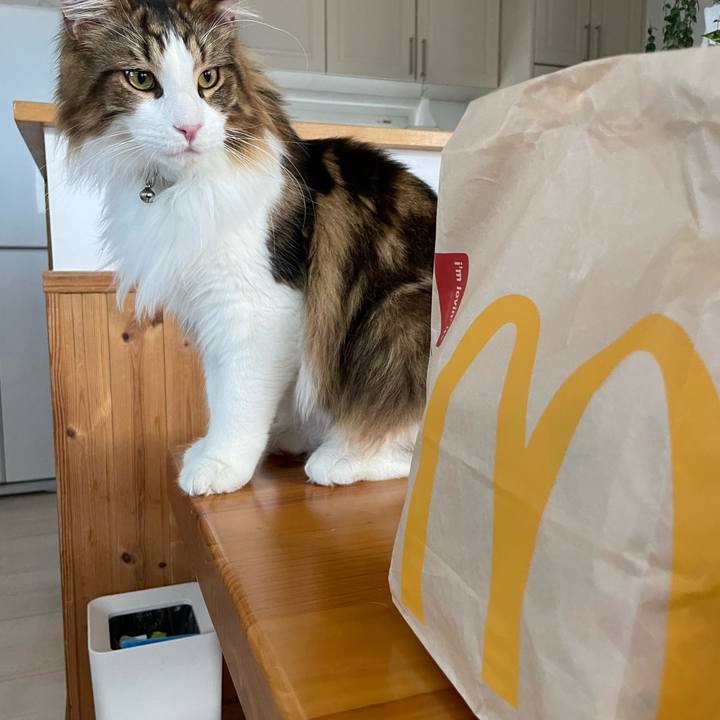 1dbf4c38 2f62 435e 9e72 c556671818c3 1653777714558