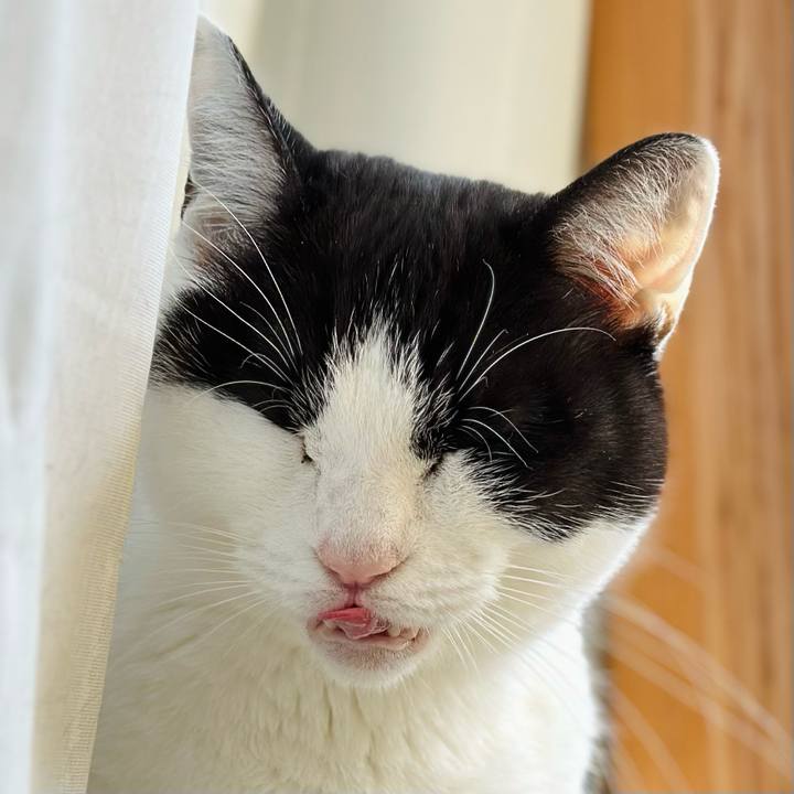 1dbf6bc1 ab6c 40fc 9af0 e32740e44a3e 1672100431393