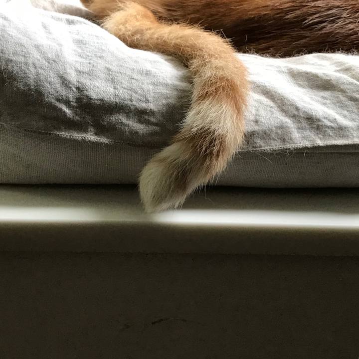 1dbfe2f6 45fe 4be4 b079 214a8f5ca1ab 1563711765902