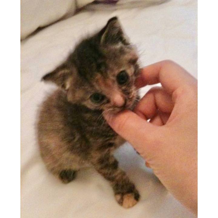 1dc03c54 ee05 4f3b bfe9 759a48ecd244 1636157269811