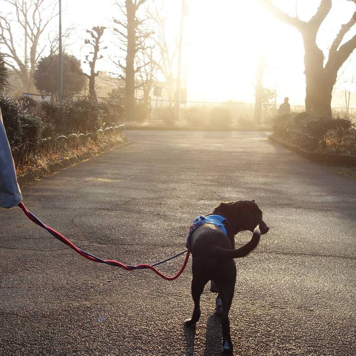 1dc0a9f4 c141 4d7f b8e4 e391ee01d945 1611534136874