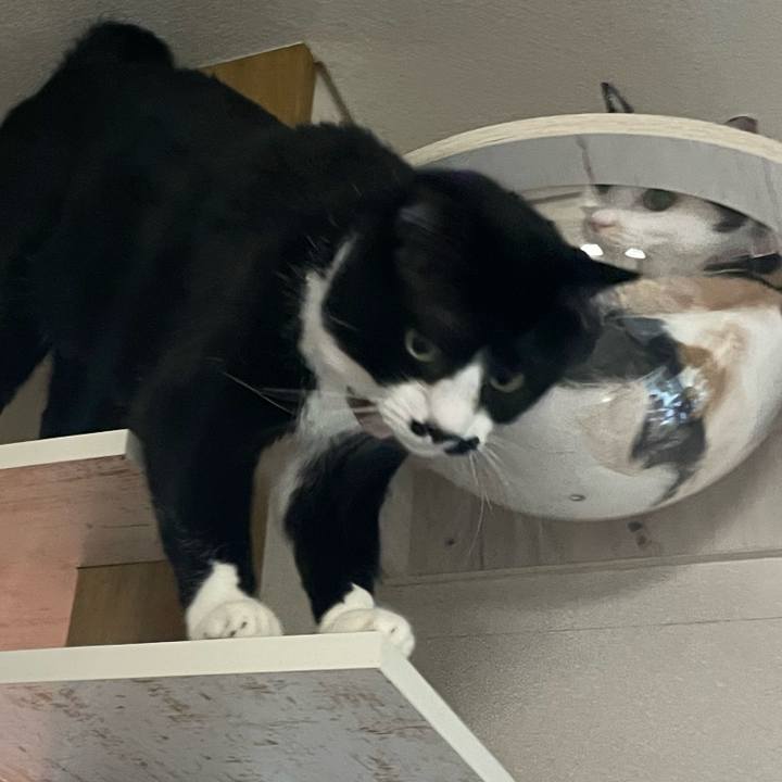 1dc0c11f 9ba8 4e21 90df 6db127d3cfa0 1761902696762