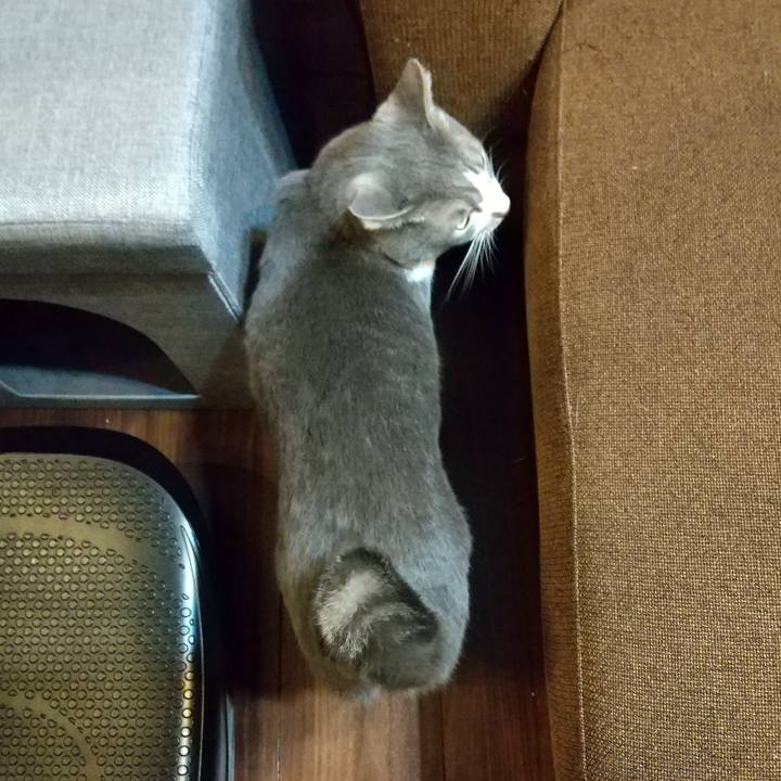 1dc0f309 da99 4ac8 9c5a d25c105d4770 1638136793503