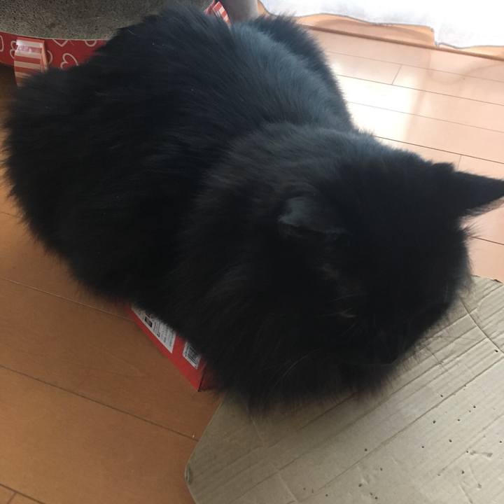 1dc11f66 0884 4acc a8dd 50534e9e9ae2 1548302278555