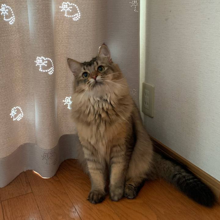 1dc1333e edf8 4e10 bdff 44c268bca980 1751927565091