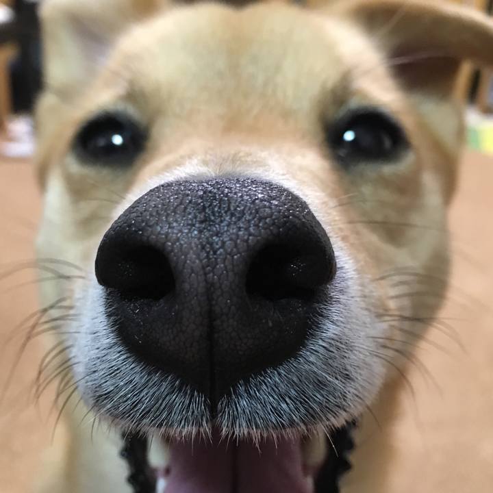 1dc14d3b 591e 4382 aa2f 74b07b368ed8 1523770993172