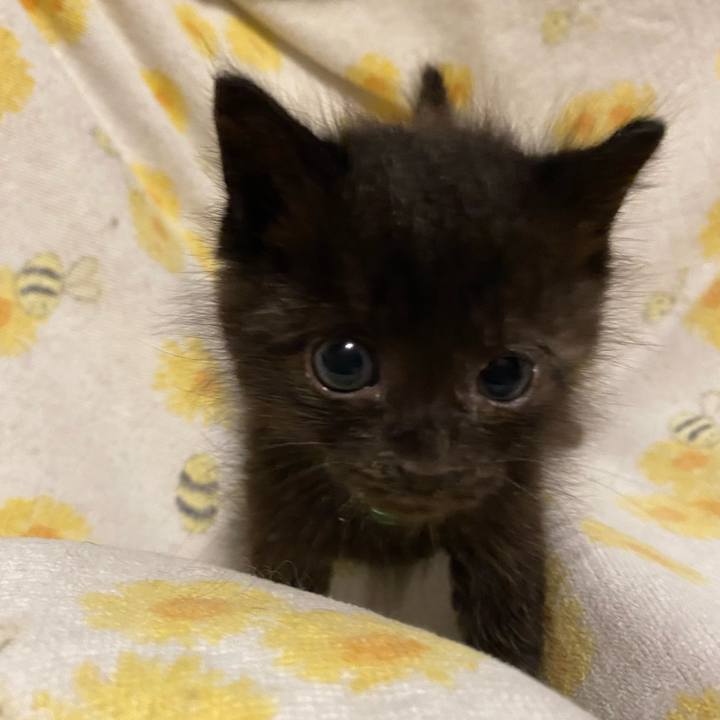 1dc18386 b1da 4d98 be94 b97faff5b596 1714392737682