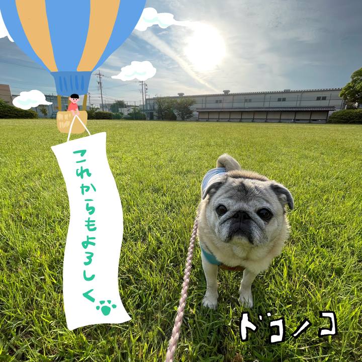 1dc235f4 1b8e 4c2c b1cf 6fb1b395cc71 1686001515836