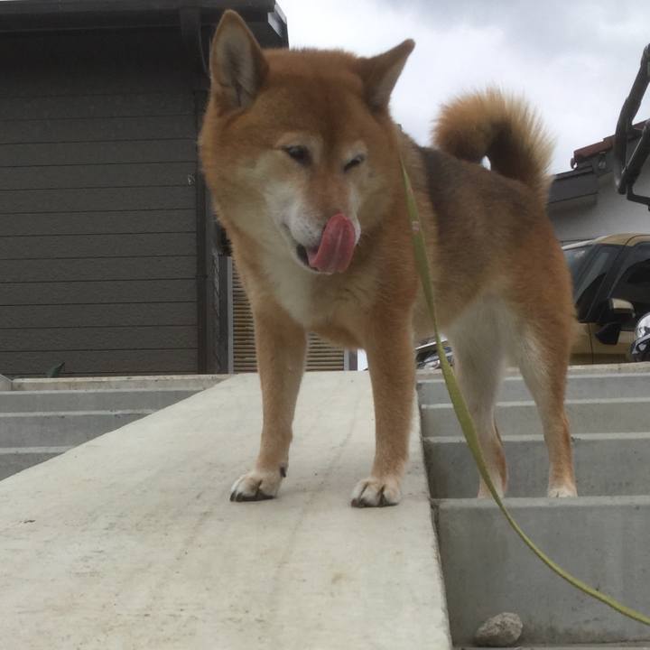 1dc2464d 0e54 434a b076 258cc8b75629 1560220061013