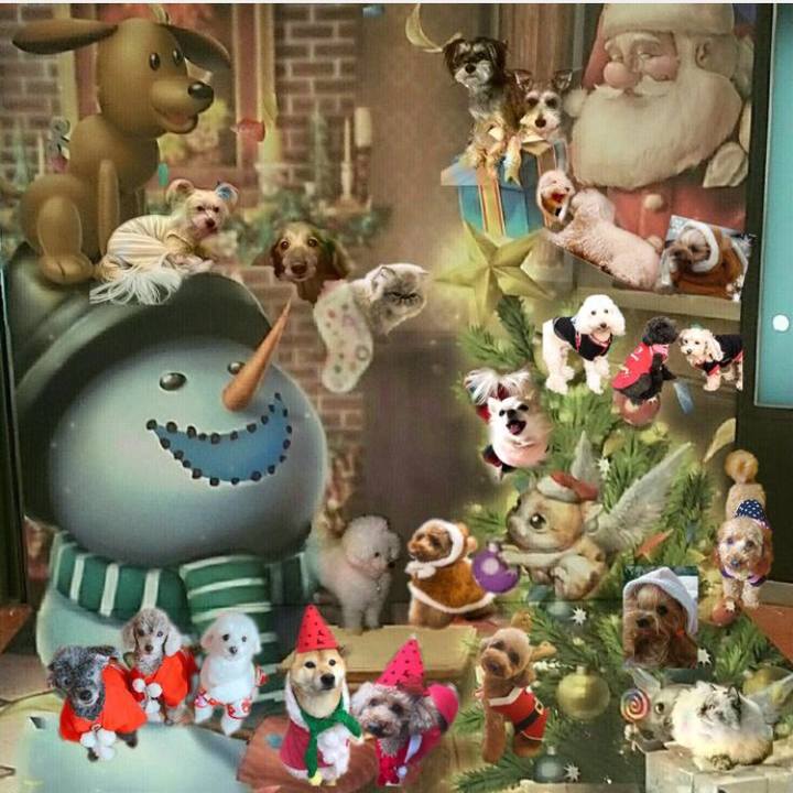 1dc252b5 7acd 451c b360 cd51128c09f3 1512784814311