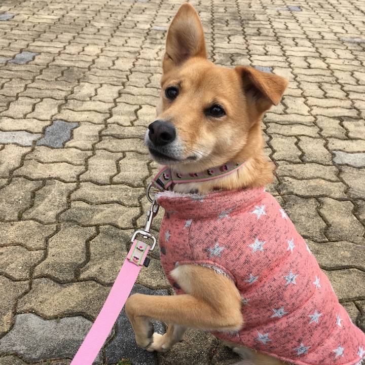 1dc2842b 50a5 44f1 a3a7 dc3020208718 1516432951060