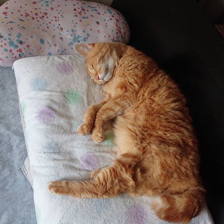 1dc28fe7 d010 4363 b005 7c8243800213 1692233233355