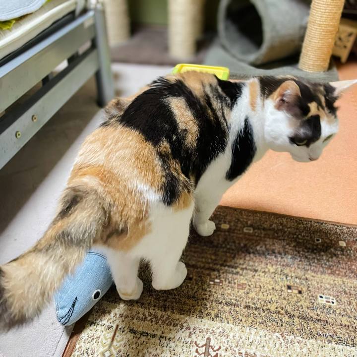 1dc2aac5 aaba 481f b0e1 e877afb68b15 1624243713779