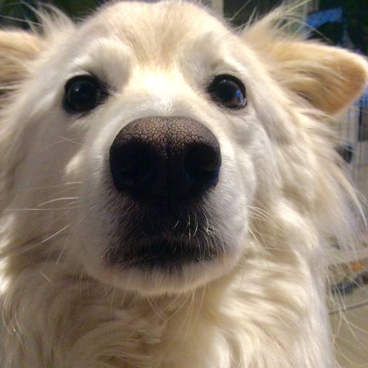 1dc2cd89 5c2f 42ae ac29 b497bc630983 1523711833560