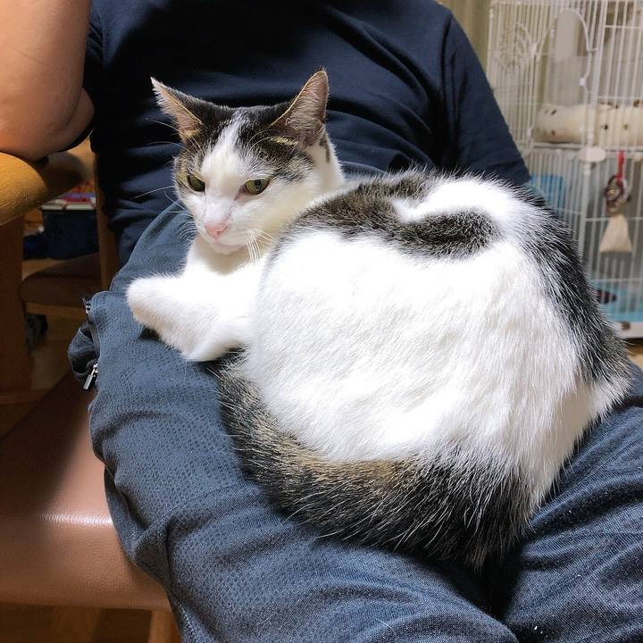 1dc2dcd4 f355 4515 84d5 b65c715047ff 1666362066909