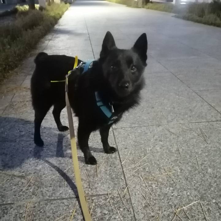 1dc2de07 545f 4858 bb2e da83edd5701e 1670621497953