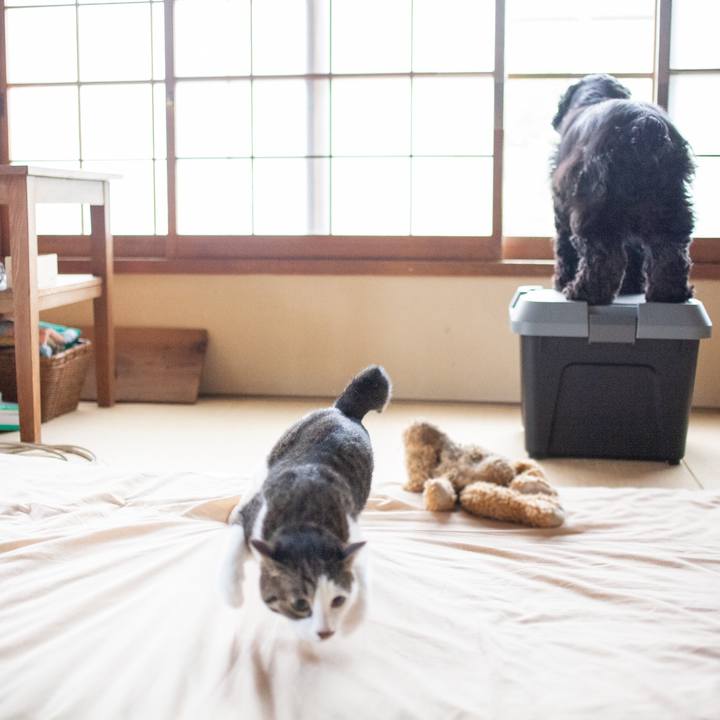 1dc31ebd c960 4cb8 aa6a 06f539fbb9d7 1558323312979