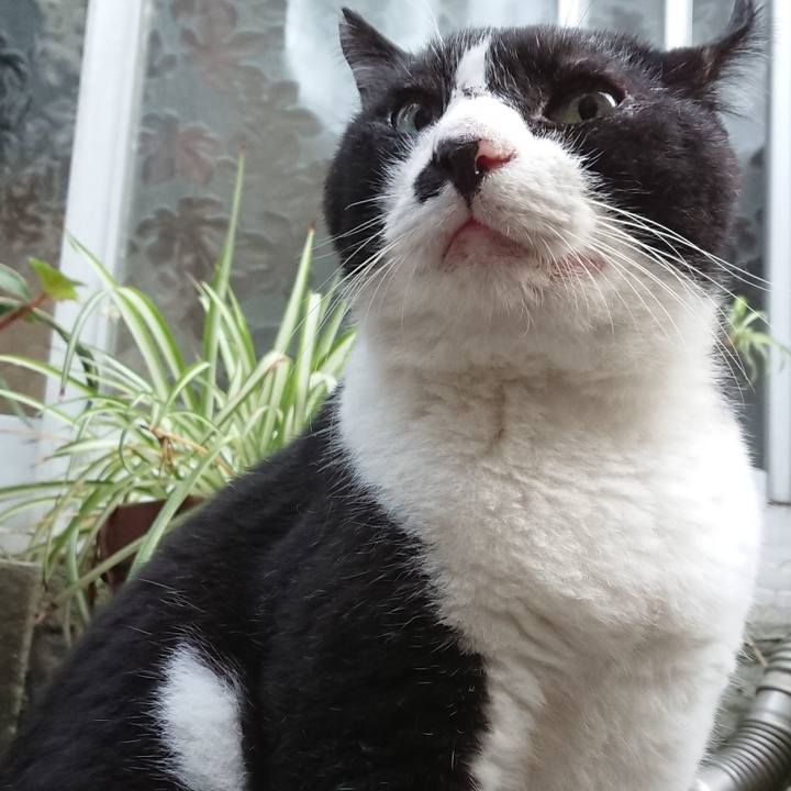 1dc35c46 e409 4f48 bae2 14b9c587aa95 1598173114719