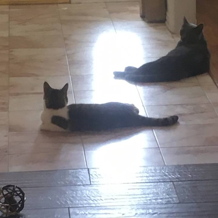 1dc3b11b f943 4f55 8e0f 07cf8e8b3415 1659742445798