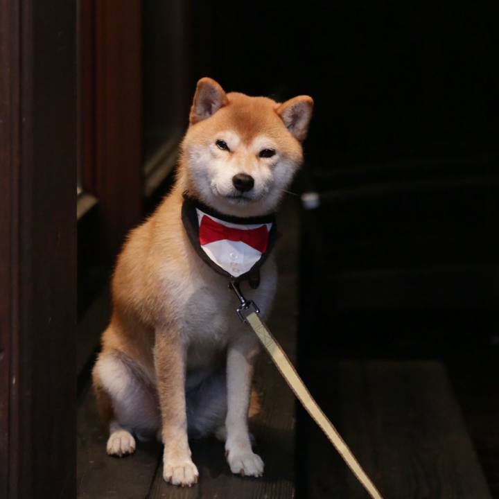 1dc3bab6 927b 48f3 a689 f45881733067 1710057854777