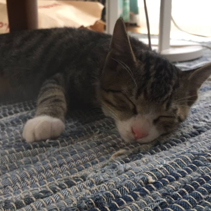 1dc3d3a3 9d32 477b 8f19 02c2cd9f0d37 1655442904411