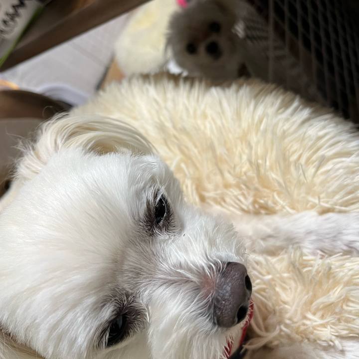 1dc3eb2a ee02 4fb3 abed 78ec0c6ccbee 1708352045025