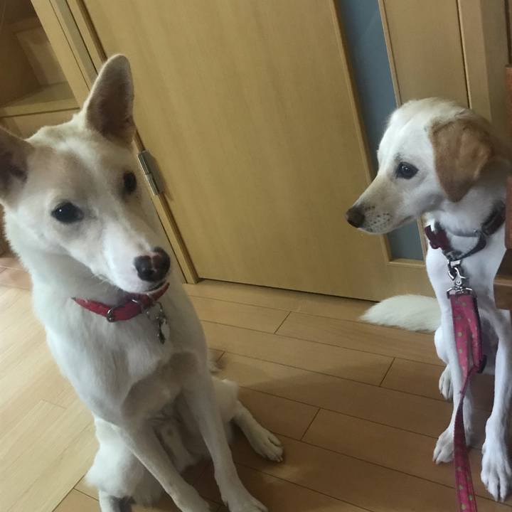 1dc3f92e d129 4e9f bd36 8b9310d5e4f3 1542101119030