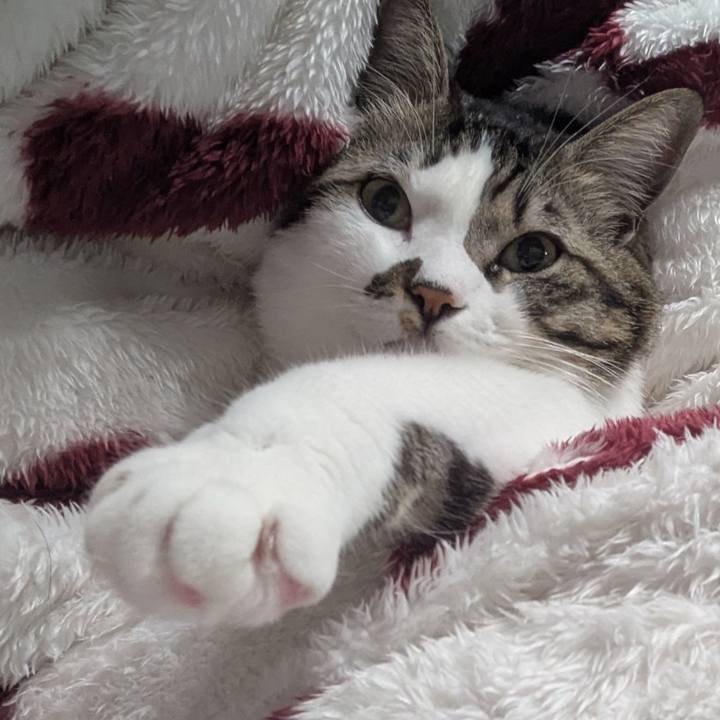 1dc40b44 113c 4e37 aaaa 0bde41c8010a 1737120216875