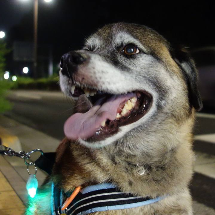 1dc42b69 cb34 4f40 9038 d471a13af469 1533993412897