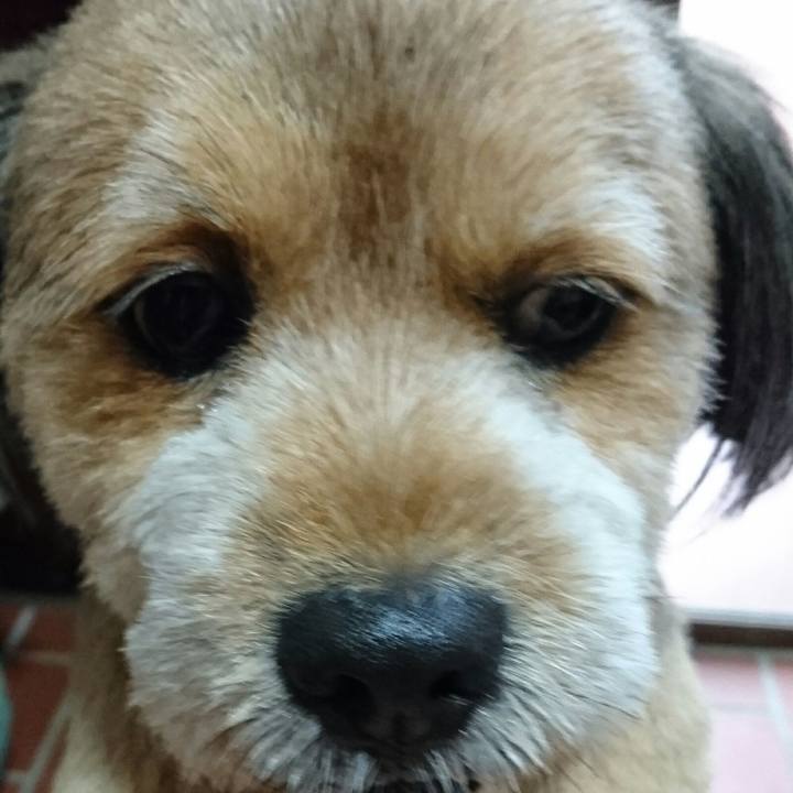 1dc42e56 e16a 464b 997f addd103c6c3e 1537691091224