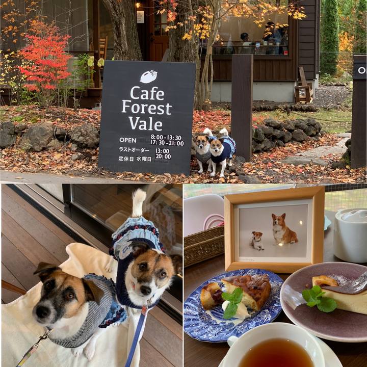 1dc435a8 38cc 47dd bc27 dba17d3ecc52 1572745376913