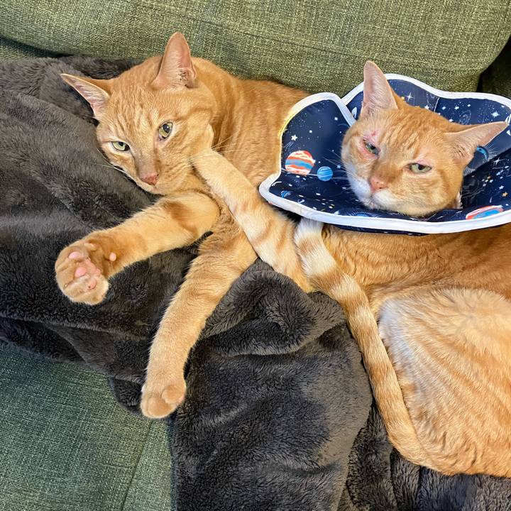 1dc45fd3 989f 440d 93fe 6ac40440a086 1758353737266