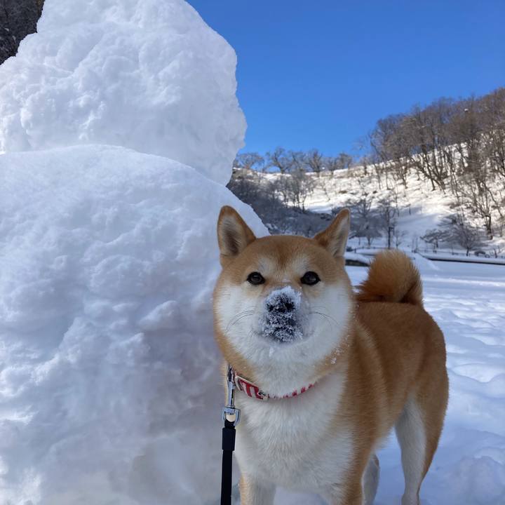 1dc474ad b6c9 4cd3 a006 b862265cfc5f 1643512515290