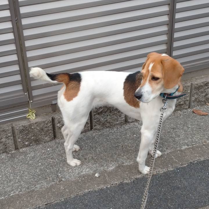 1dc47d53 db31 4d45 9de6 0b80ac86e099 1615557359884