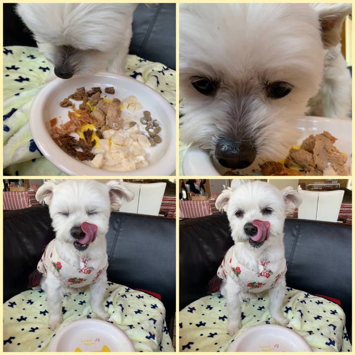 1dc4ab84 1901 4c29 9795 e96afe8f82d2 1614414599506