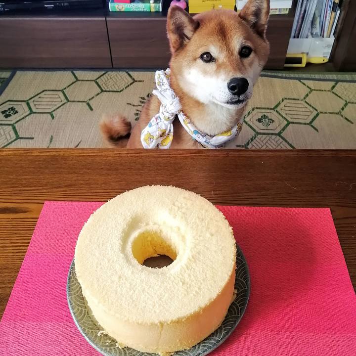 1dc4b651 ac6a 4e21 a134 095c0c18a7dc 1624853563692