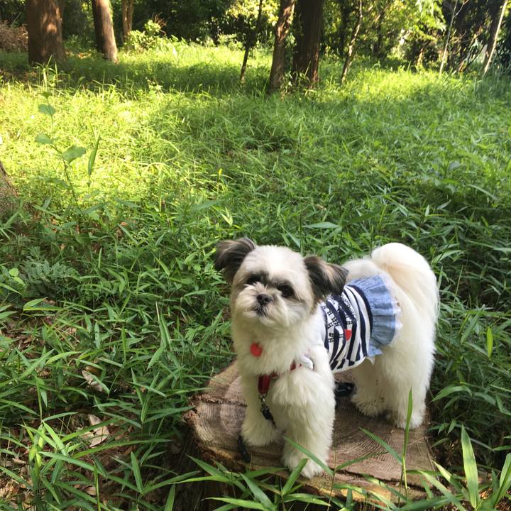 1dc51621 f861 47d1 b392 cac28ccd7dcb 1526605211282