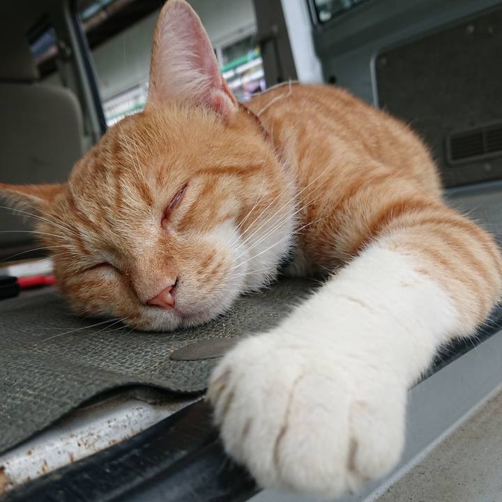 1dc560da 59c9 4418 b309 f3ee48b736c8 1565597313659