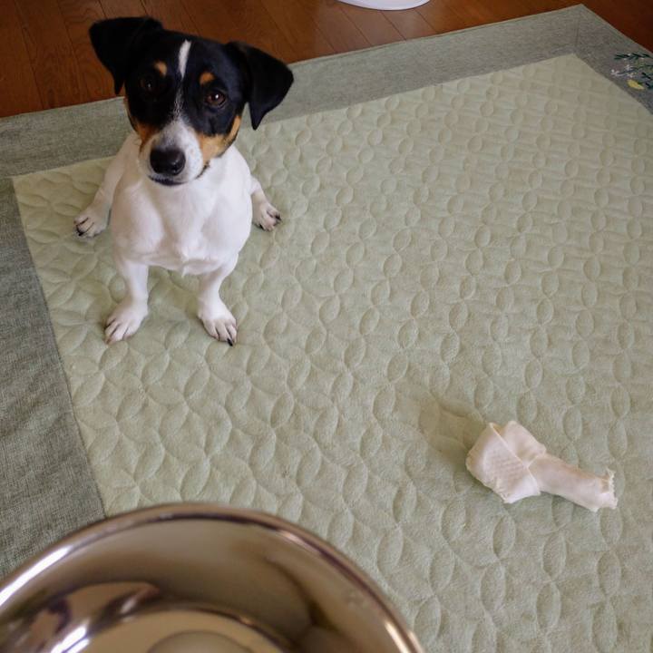 1dc5a181 b071 4305 8325 273db229b60c 1590723802912