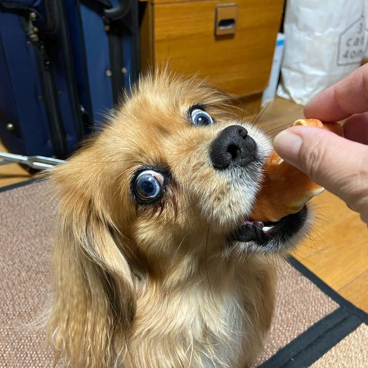 1dc5a8aa d155 4162 9a7f 61335f3c3c52 1585440001064