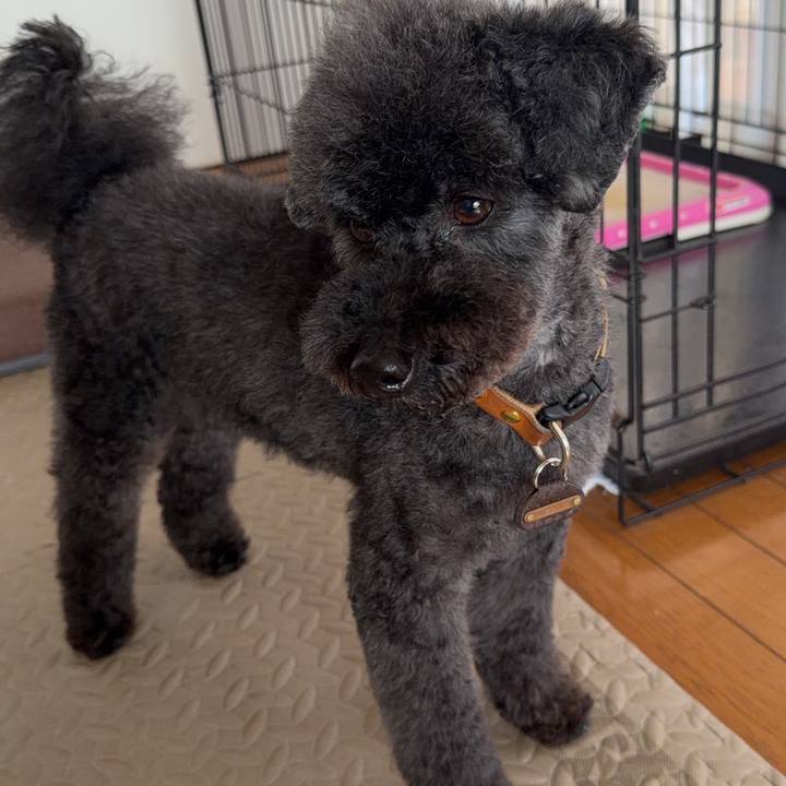 1dc5d0f7 f968 43d8 b716 a502da9c3b51 1774672960280